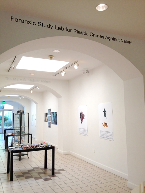 Forensic Study Lab for Plastic Crimes Against Nature