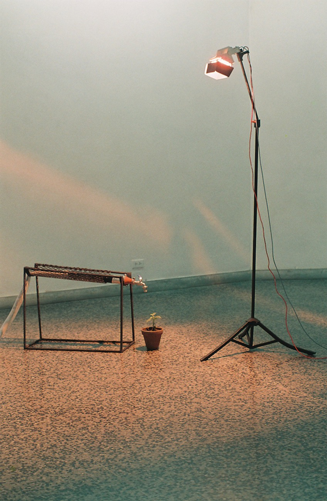 Much Ado About Nothing (installation view), 2003, electric generator, water pipe, hose, cables, lamp, plant, variable dimensions. Photo courtesy the artist.