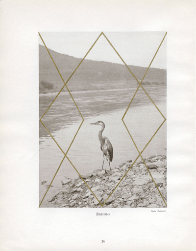 Fischreiher, 2009, Gold leaf on book page, 10 x 7.75 inches. Courtesy Sies+Höke Düsseldorf.