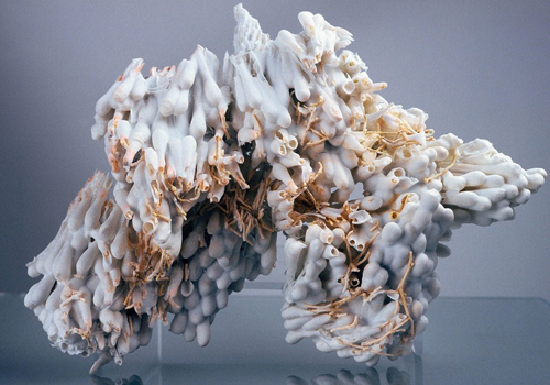 Porcelain Skins (series), 2006, Porcelain, Q-tips, 7 x 5 x 4 inches. Courtesy the artist.