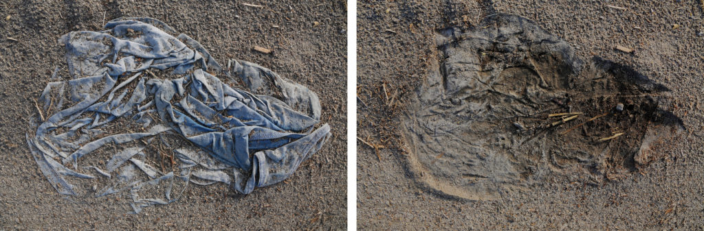 The Knowledge That Even The Inevitable Loss That Lies Ahead Is Worth Living, 2014, Digital Photograph – Diptych