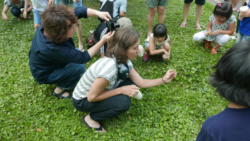 The author and workshop participants collecting clover and other weedy species in a public park in Taipei, Taiwan for a plant pigment workshop with MOCA Taipei and Bamboo Curtain Studios, June 2017. Image courtesy Bamboo Curtain Studios.