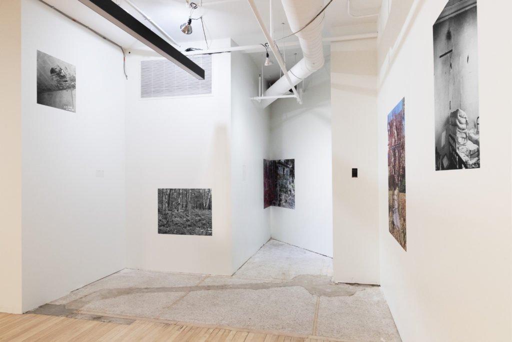Installation View: Body Building, 2019, Second Shift Studios Curatorial Projects, Downtown Minneapolis, various wheatpasted inkjet prints.
