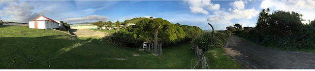 (fig. 3) Malcolm Doidge, Mātiu/Somes Island, 2020, Panorama of Human and animal quarantine sites looking south to Te wāhi o te ahi tipua (Historic heavy AA battery defence site). Image courtesy the artist.